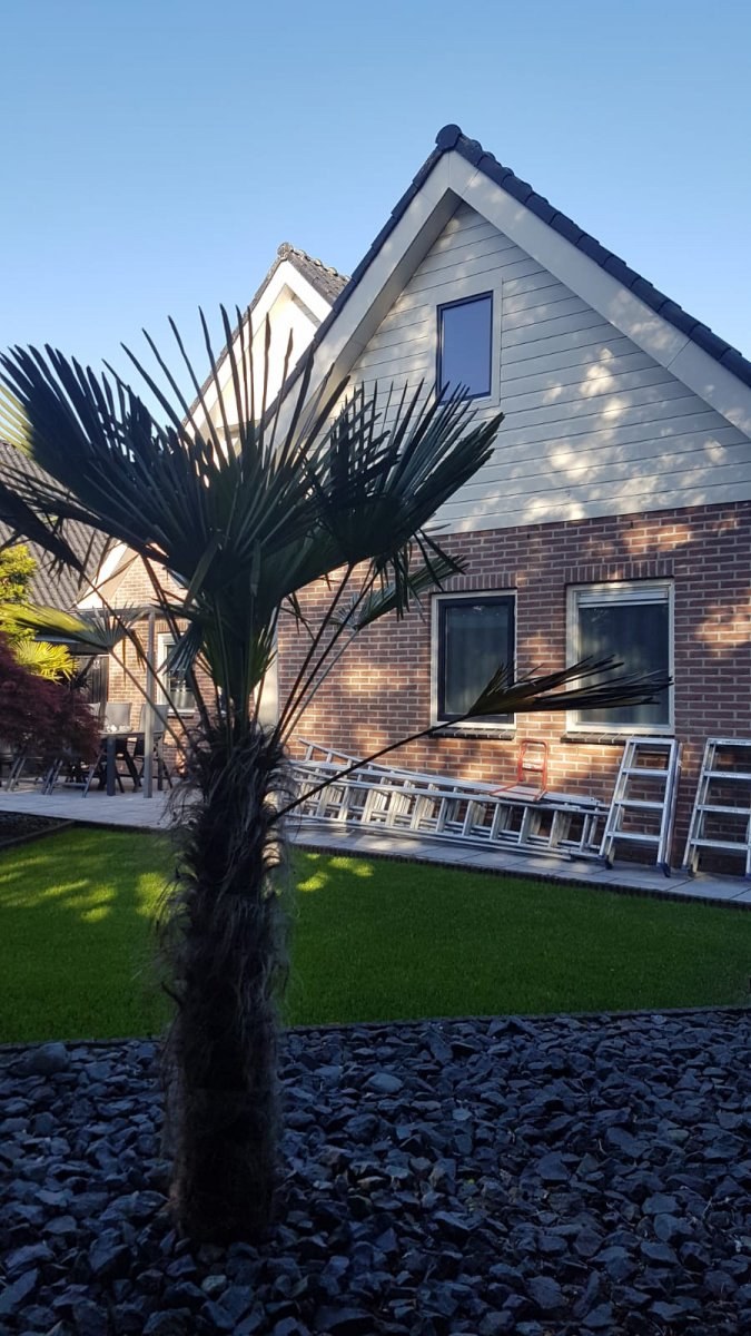 Witte woning met een palmboom in de voortuin